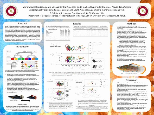 Call for Submissions Masna Scientific Poster Session