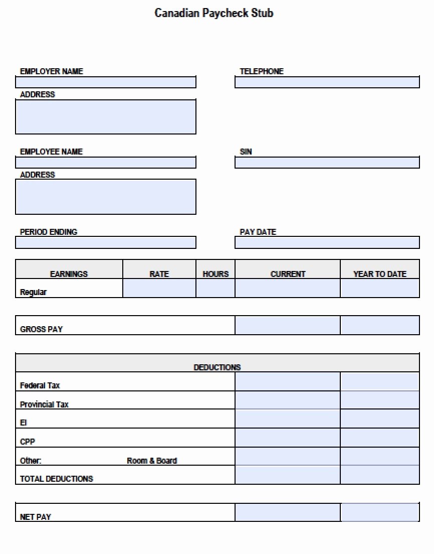 Canadian Pay Stub Template Pdf Templates Resume