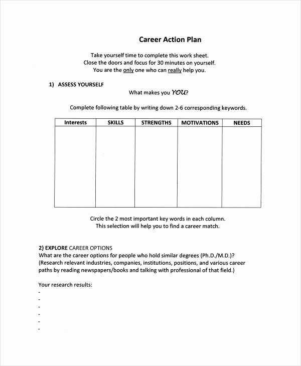 Career Action Plan Template 14 Free Sample Example