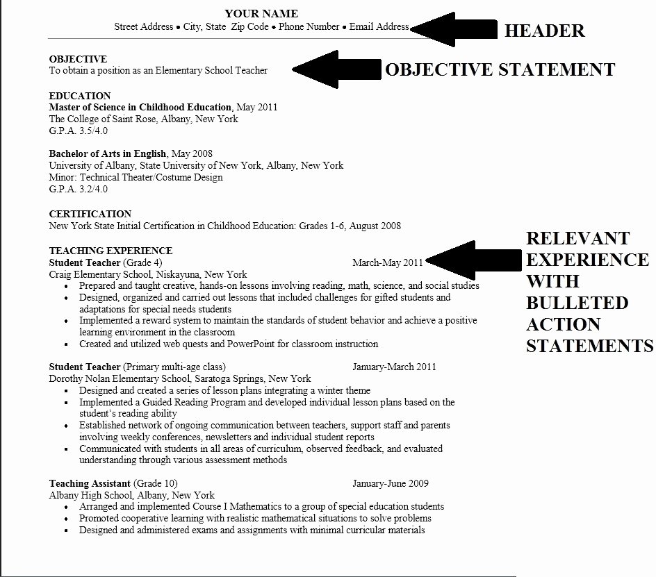 Career Objective Resume Template