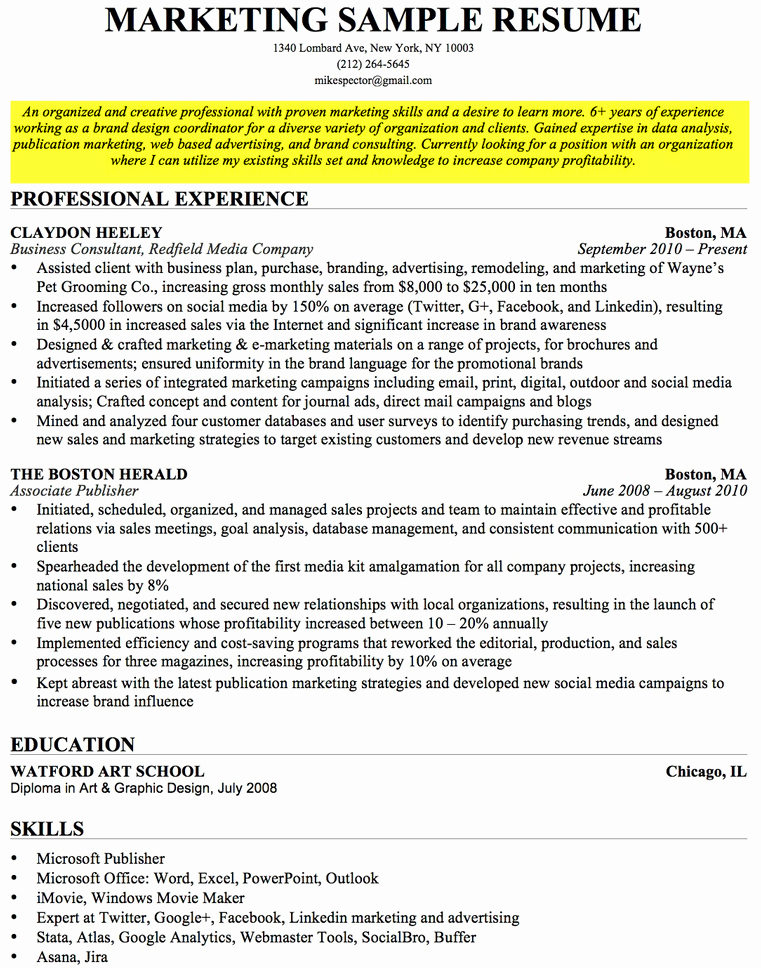 Career Overview for Customer Service Resume Stonewall