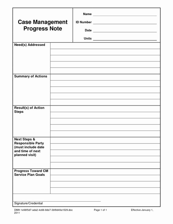 Case Notes Template