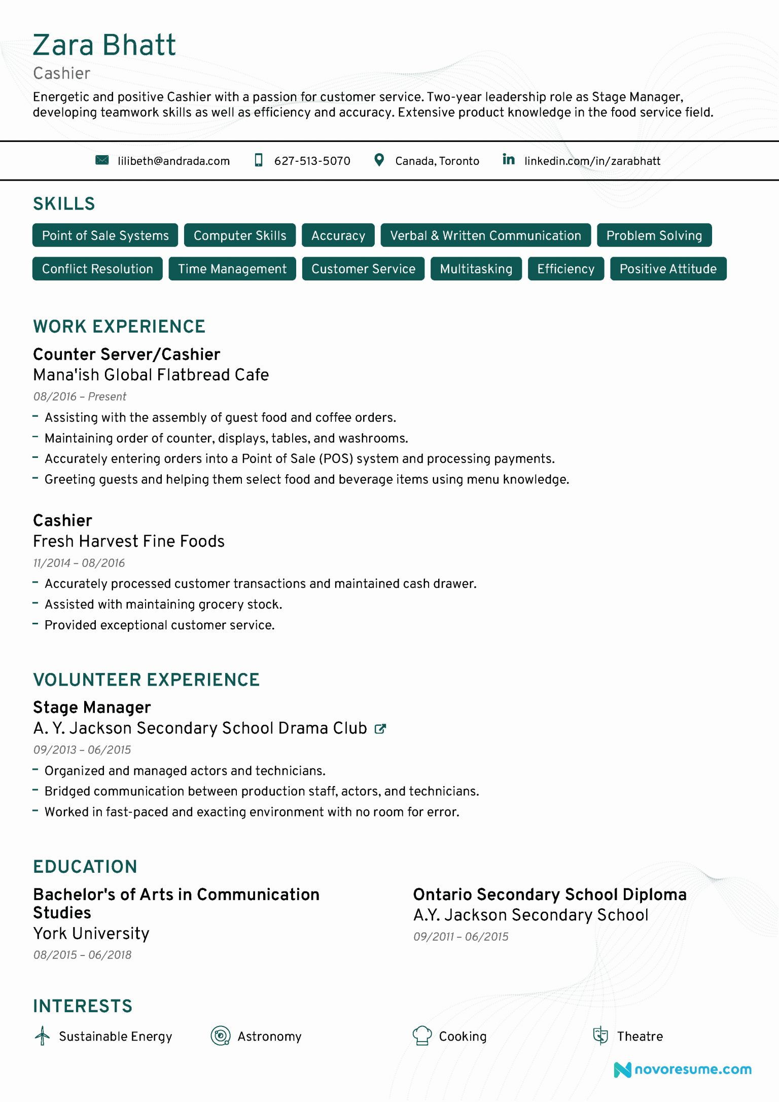 Cashier Cv Template Free Download