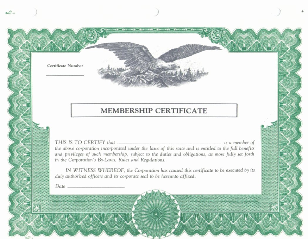 Certificate Stock Certificate Template