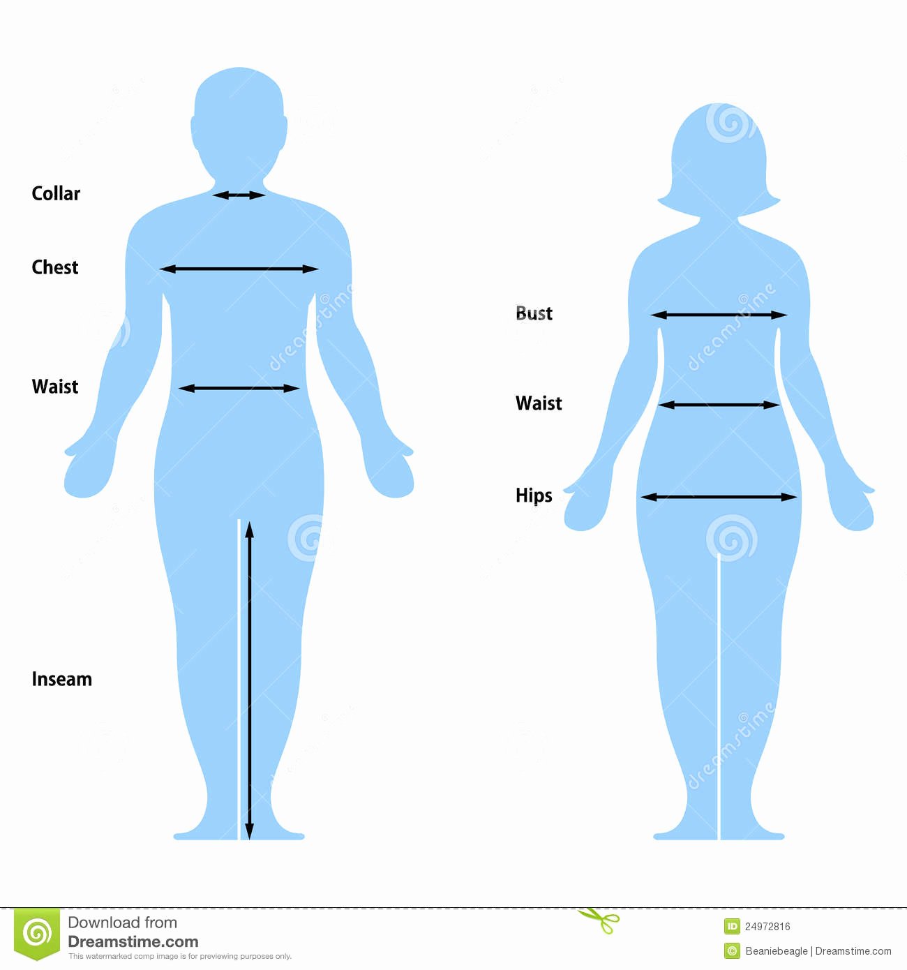 royalty free stock image clothing size chart image