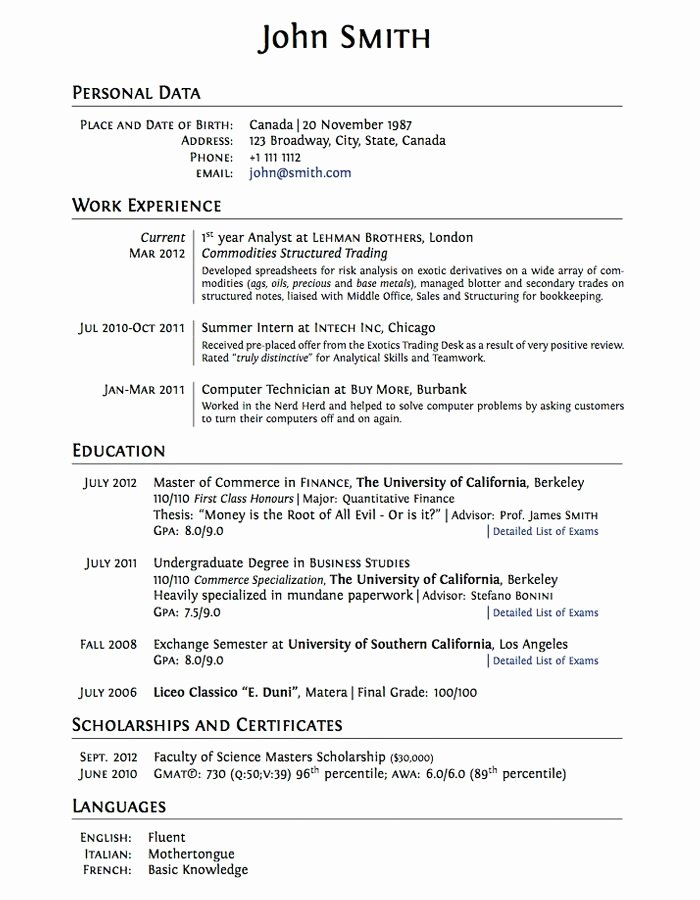 College Application Resume Examples for High School