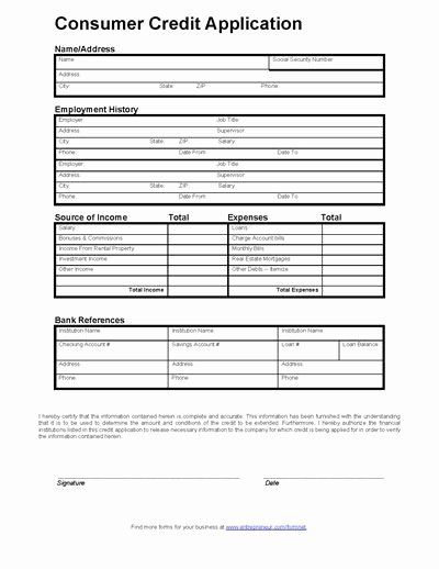 Consumer Credit Application form