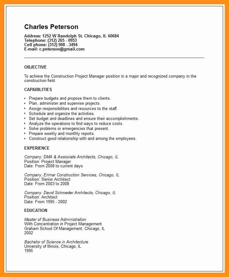 Copy and Paste Resume Examples