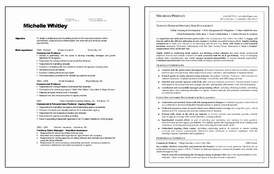 corporate trainer resume example