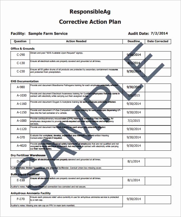 Corrective Action form Template