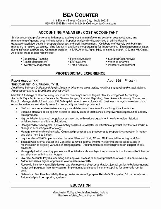 Cost Accountant Resume Example