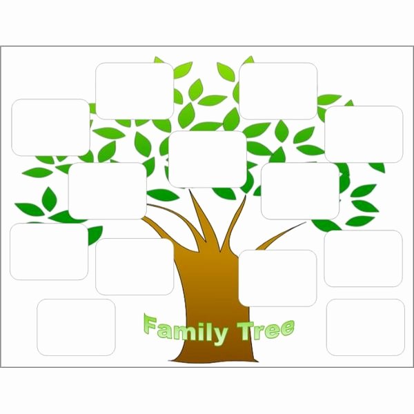 Create A Family Tree with the Help Of these Free Templates