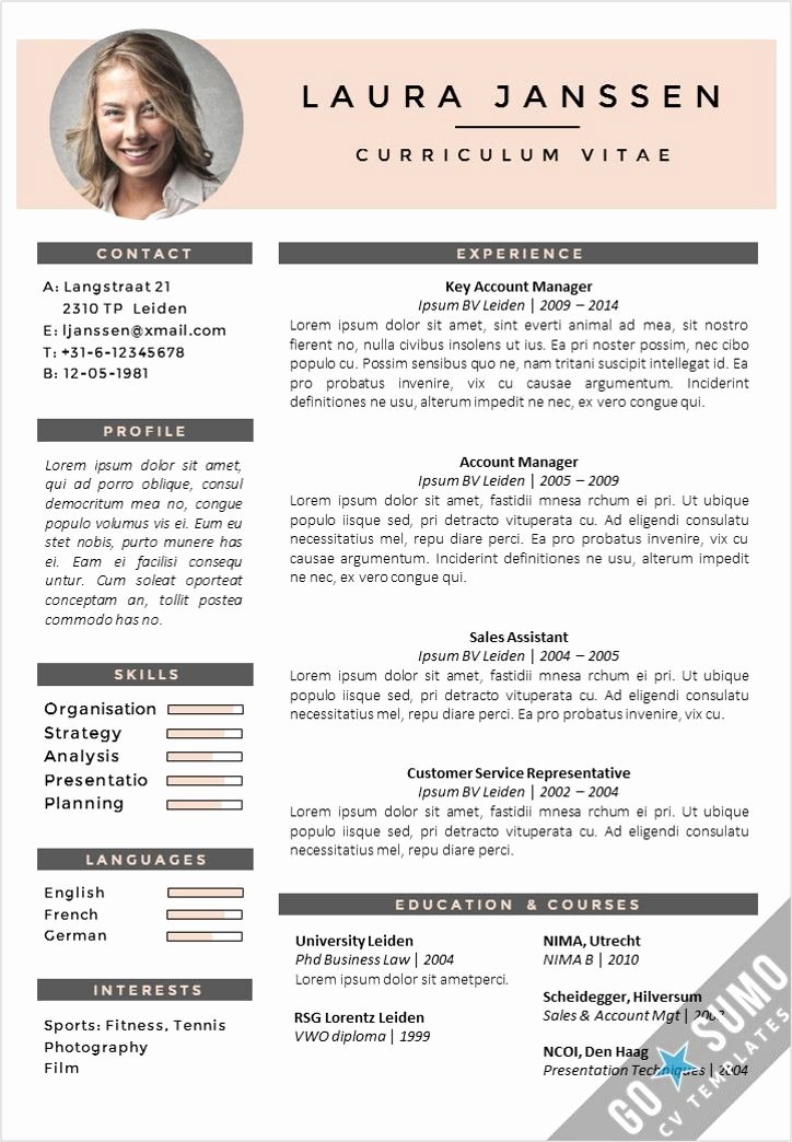 Creative Cv Template Fully Editable In Word and