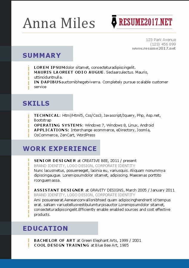 Creative Resume Templates 2017