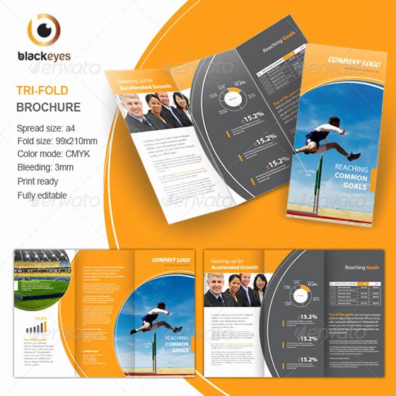 Creative Tri Fold Brochure Design Templates