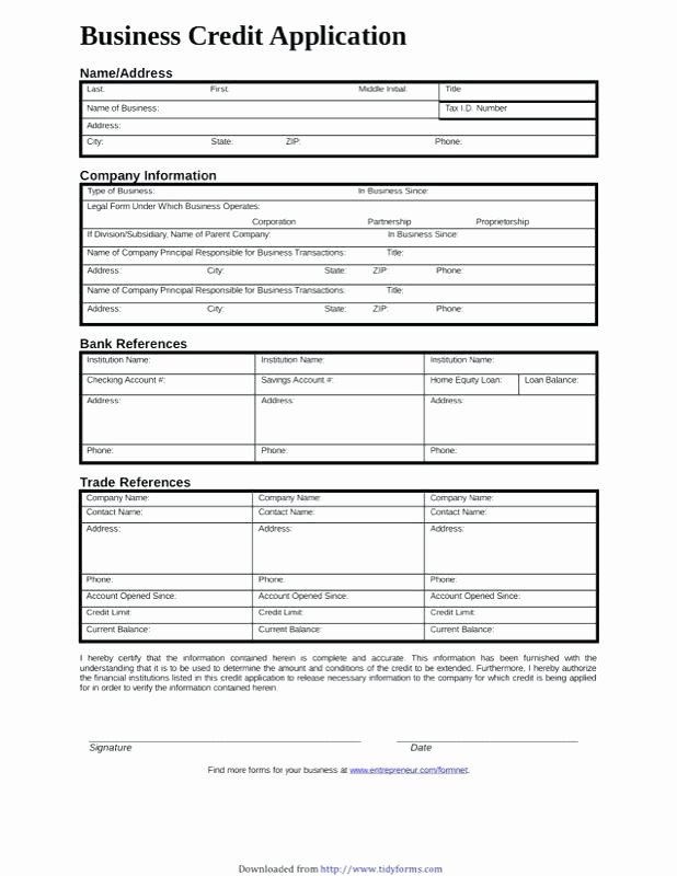 Credit Application Template Excel Credit Application form