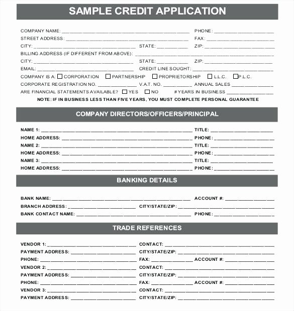 Credit Application Template Excel – Teletiendaub