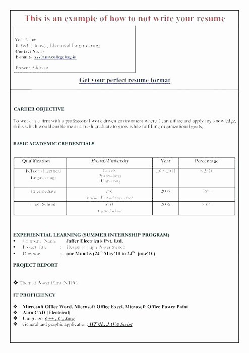 Curriculum Vitae Download In Ms Word