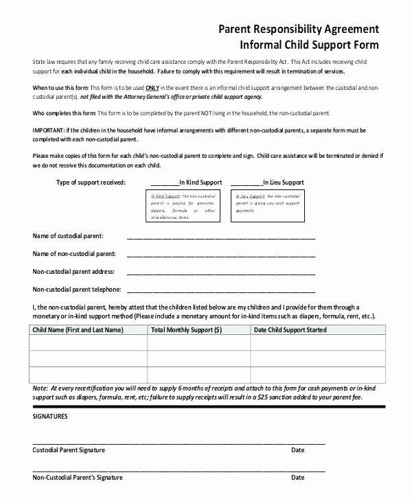 Custody Agreement Example Gallery Agreement Letter format