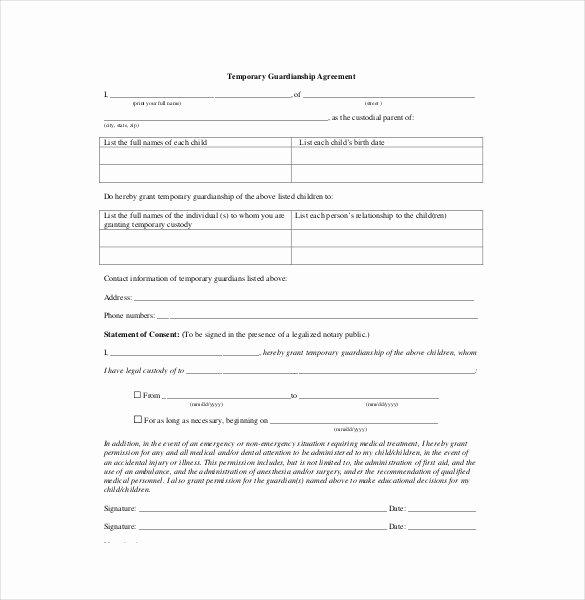 Custody Agreement Template – 10 Free Word Pdf Document