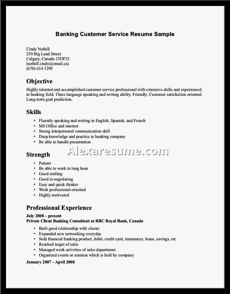 customer service resume skills examples