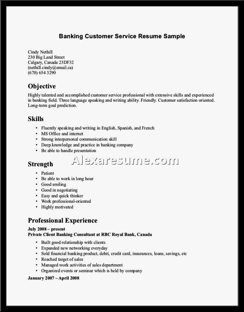 Customer Service Resume Skills Examples