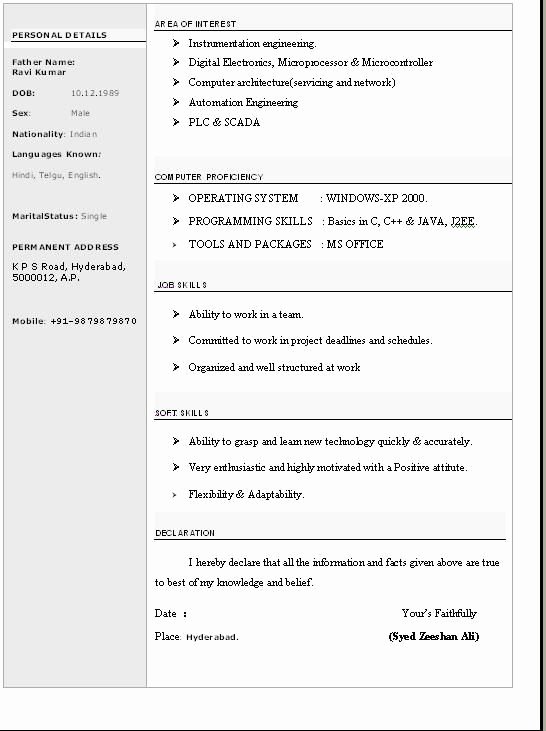 Cv format Word Free Professional Cv format In Ms Word Doc