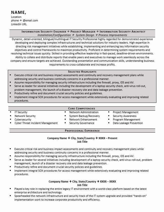 Cyber and Information Security Resume Example and Tips
