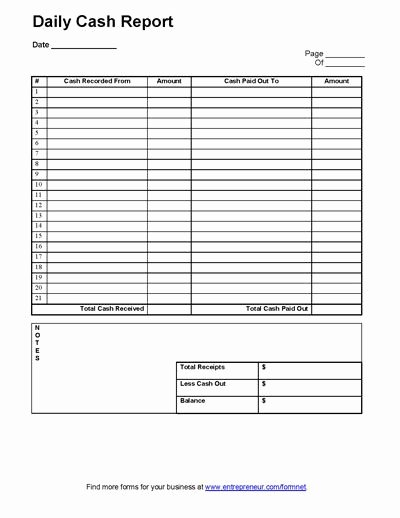 Daily Cash Report Template Daycare