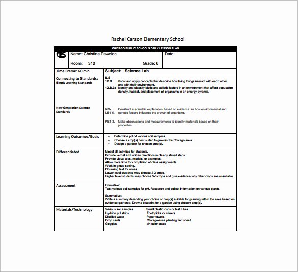 Daily Lesson Plan Template 13 Free Sample Example