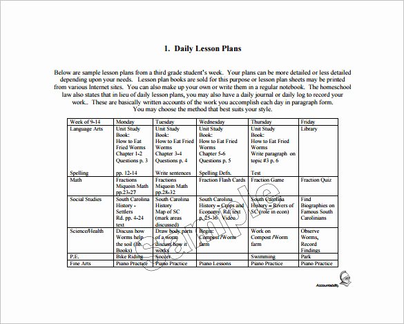 Daily Lesson Plan Template 13 Free Sample Example