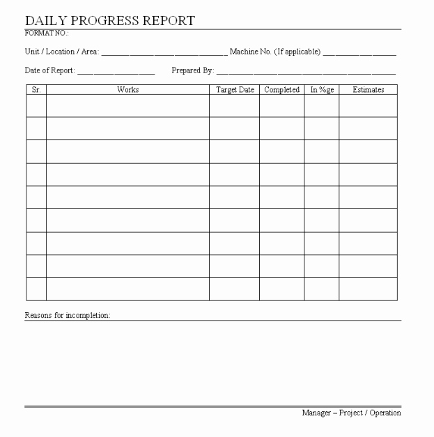 daily progress report
