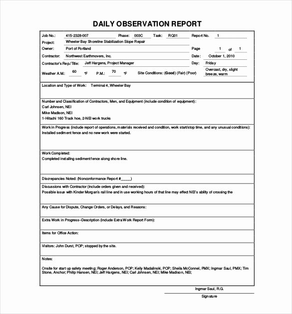 Daily Report Template Daily Report format