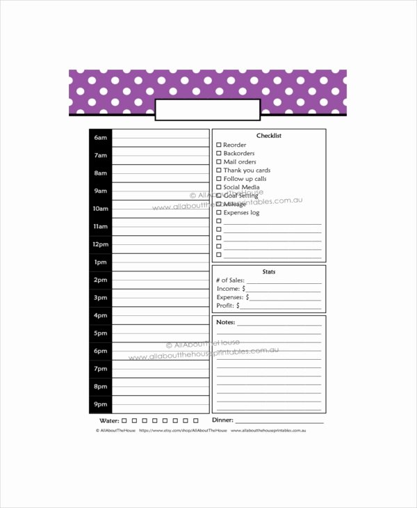 Daily Sales Planner Template 6 Free Pdf Documents