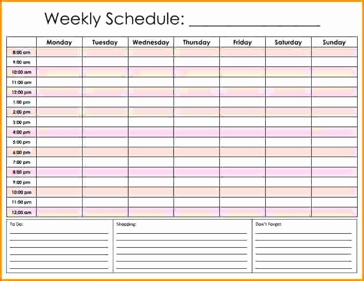 Daily Schedule Excel Worksheet Spreadsheet with Free