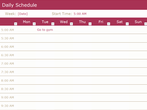 Daily Schedule Fice Templates