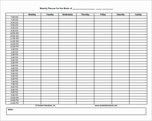Daily Schedule Template 14 Download Free Documents In
