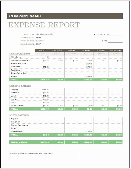 Daily Weekly &amp; Monthly Expense Report Template