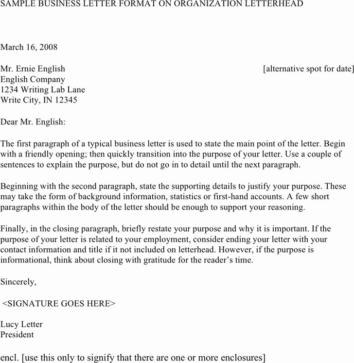 Dandy Professional Business Letter Template – Letter