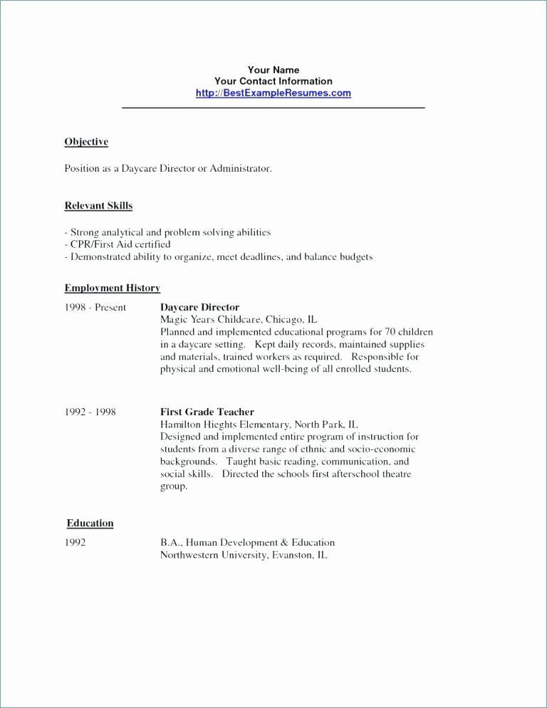 Daycare Resume Examples