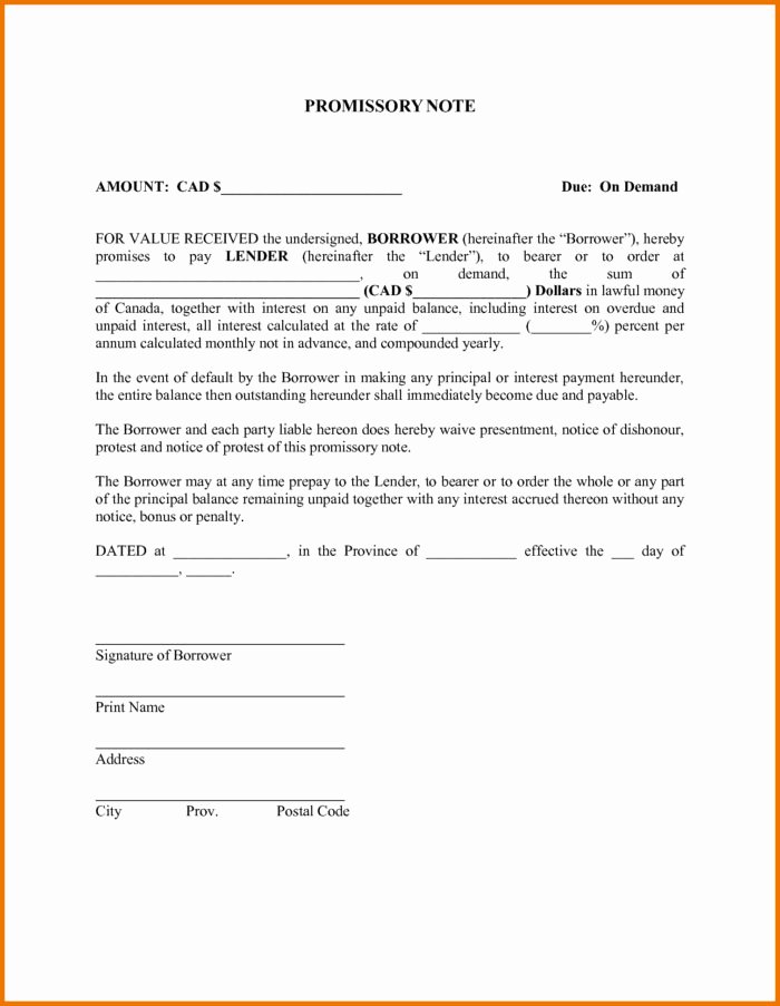 Demand Promissory Note Template Templates Resume