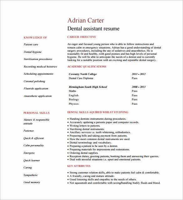 Dental assistant Resume Template 7 Free Word Excel