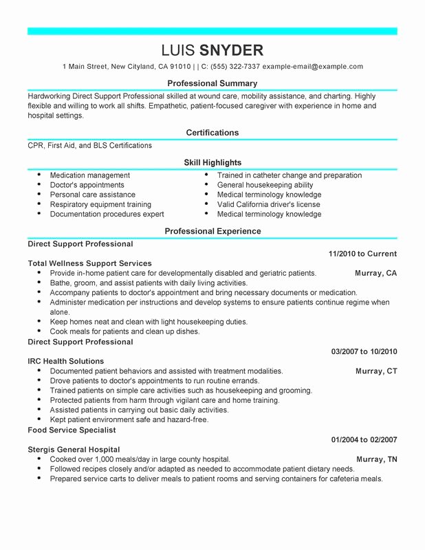 Direct Support Professional Resume Examples – Free to Try