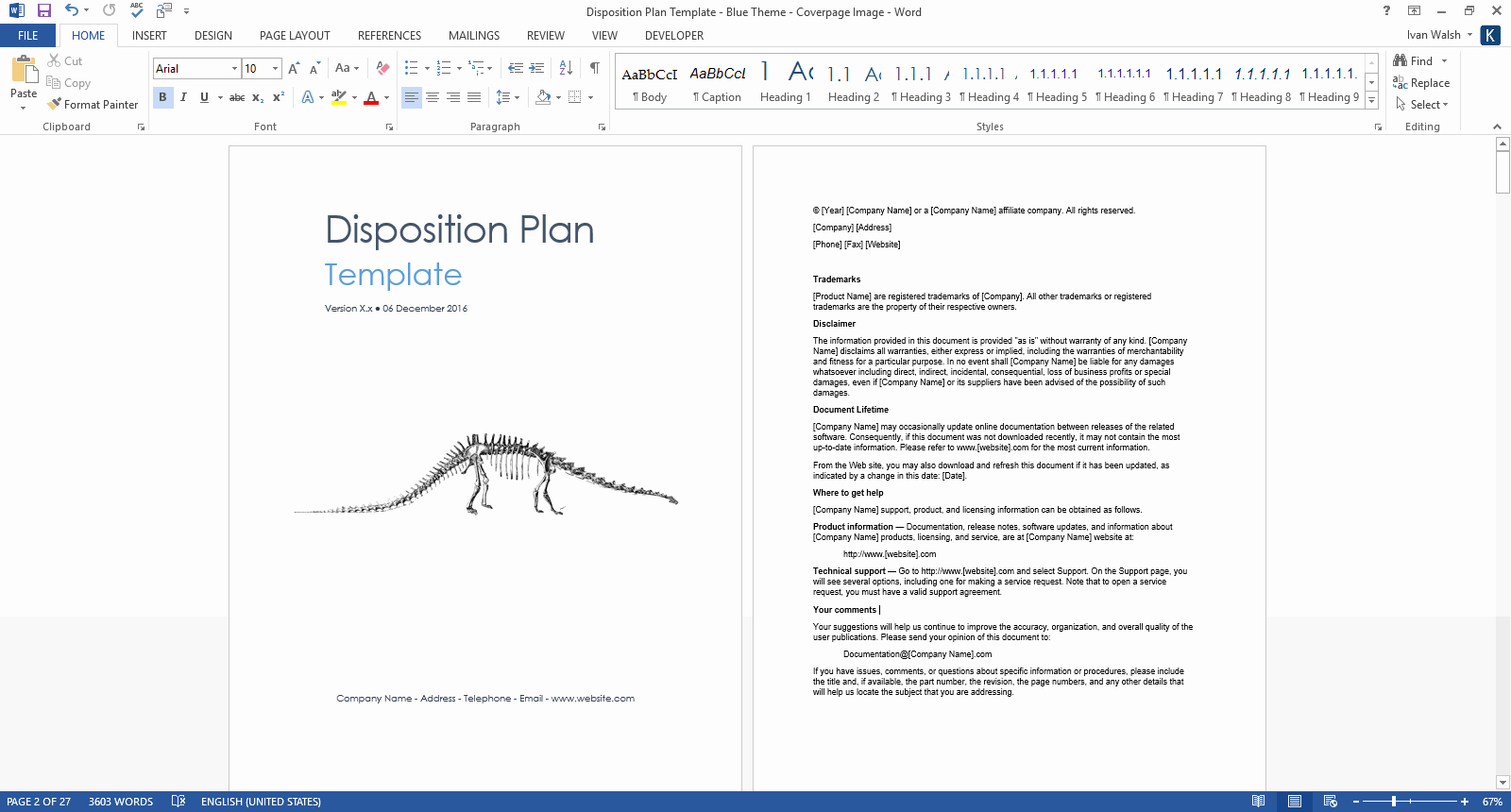 Disposition Plan Template – Ms Word – Instant Download