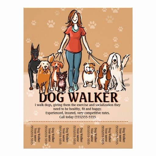 Dog Walker Dog Walking Advertising Template Flyer