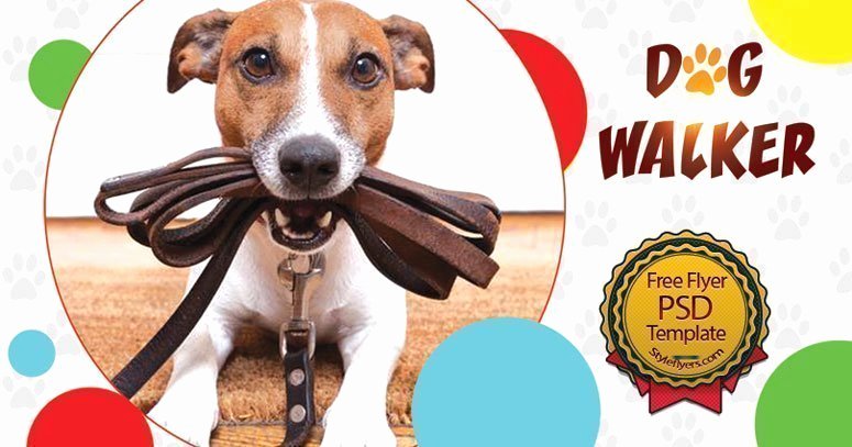 Dog Walker Free Psd Flyer Template Free Download