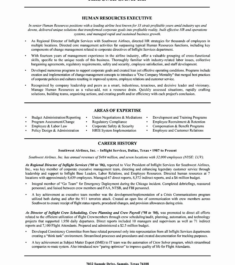 Dorable Airline Resume Objective Examples Gallery