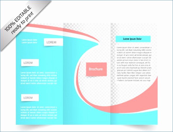 Double Sided Tri Fold Brochure Template