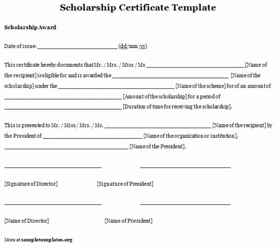 Download 19 Blank Scholarship Application Template