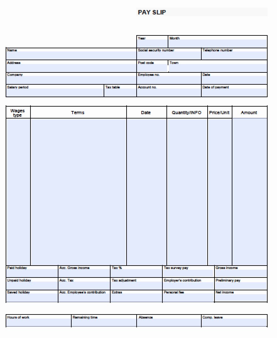 Download Blank Pay Stub Templates Excel Pdf